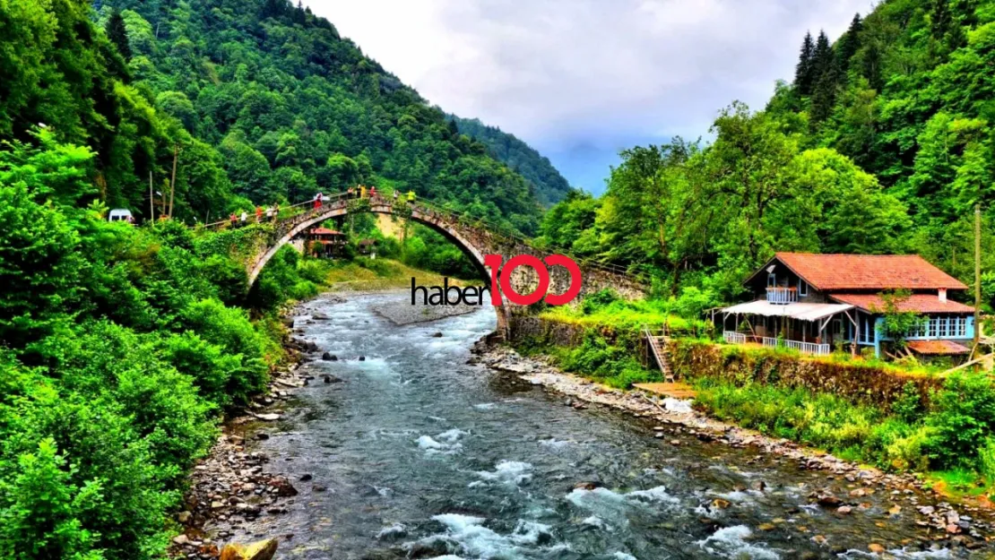 53 Plaka Nerenin Plakası,Hangi Şehre ait?