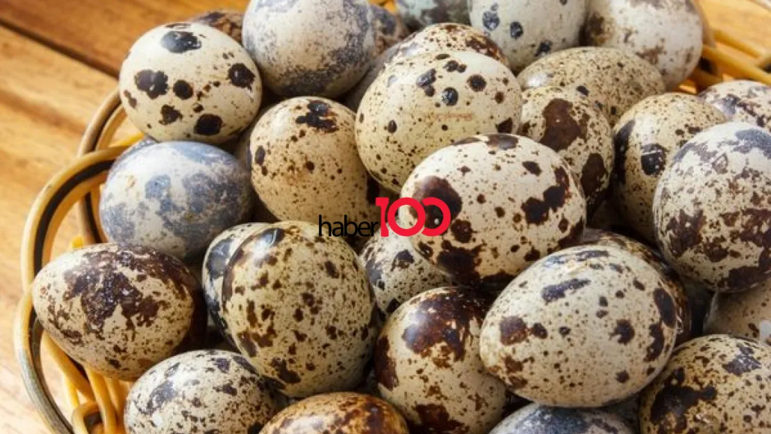 Bıldırcın Yumurtası Hakkında Merak Edilenler!