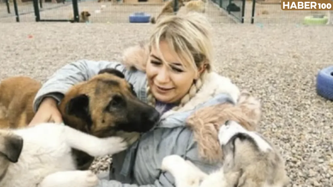 Köpek Severler Vurgun Yapmış!