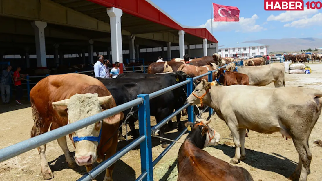 Kurban Bayramı'na Geri Sayım: 2024'de Hangi Günler Tatil?