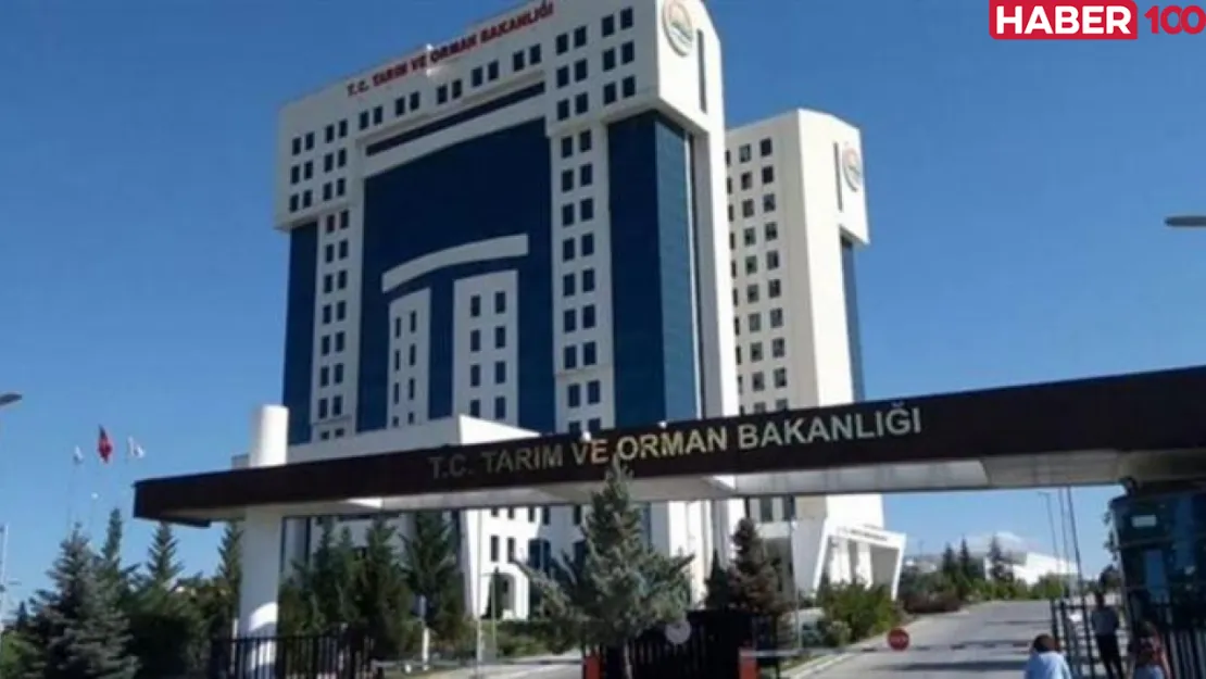 Orman Genel Müdürlüğü, 35 Şehirde Devlet İşçi Alımı Başvurularını Açıkladı