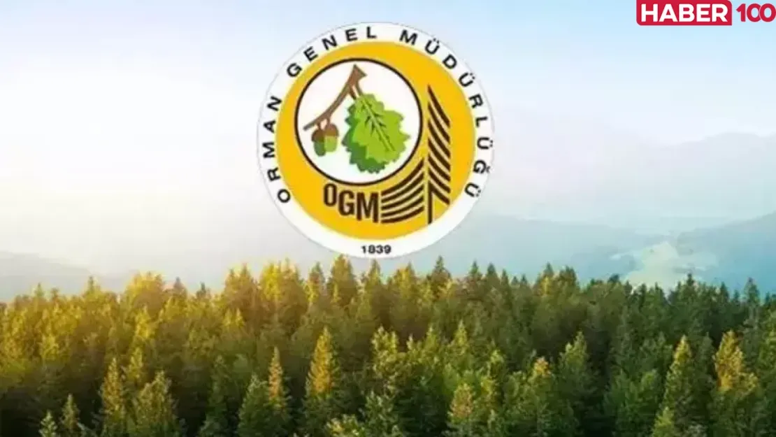 Orman Genel Müdürlüğü, KPSS Puanlarıyla Memur Personel Alımı İçin Başvuruları Tamamlıyor