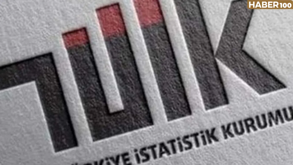 TÜİK'ten Çarpıcı Veriler: Üniversite Mezunlarının Kazanç Durumları ve Meslek Uyumu