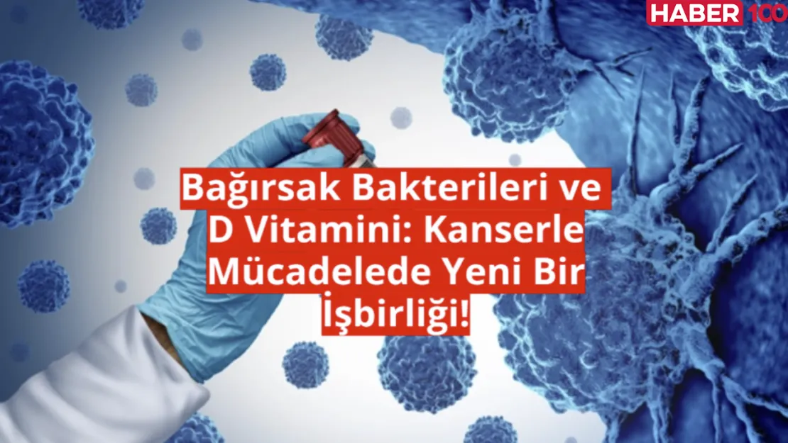 Yeni Araştırma Bağırsak Bakterileri ve D Vitamini: Kanserle Mücadelede Yeni Bir İşbirliği!
