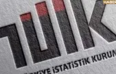 TÜİK'ten Çarpıcı Veriler: Üniversite Mezunlarının Kazanç Durumları ve Meslek Uyumu