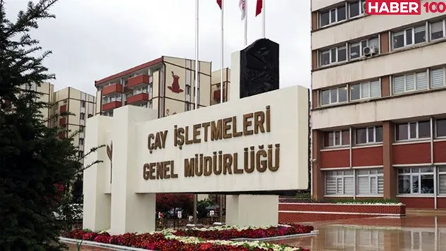 ÇAYKUR'dan Yeni İşçi Alımı: 1.072 Kamu İşçisi Aranıyor!