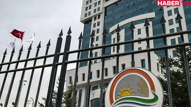 Tarım ve Orman Bakanlığı'ndan Heyecan Verici Haber: 158 Kamu Personeli Alımında Yazılı Sınav Sonuçları Açıklandı!