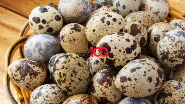 Bıldırcın Yumurtası Hakkında Merak Edilenler!